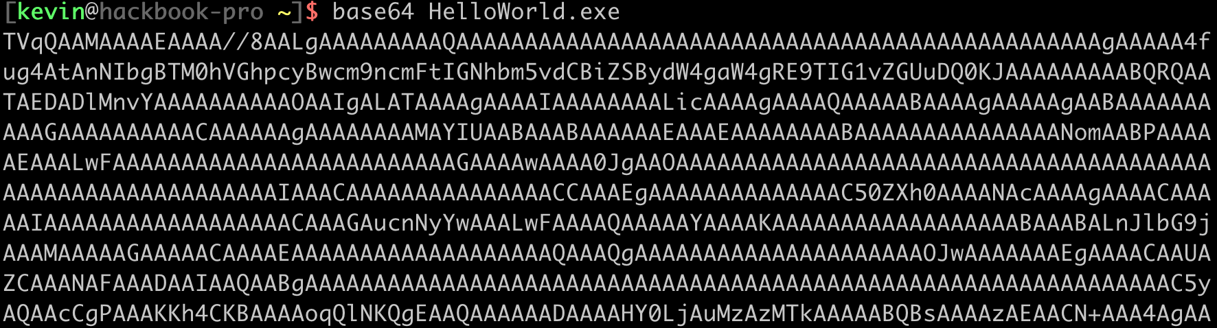 Base64 encoding the Hello World assembly