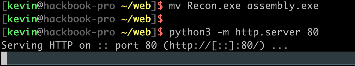 Hosting the assembly file on a web server using Python HTTP server