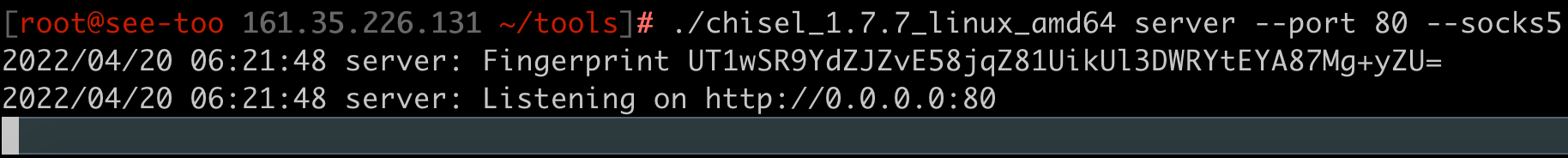 Starting the Chisel server on my VPS