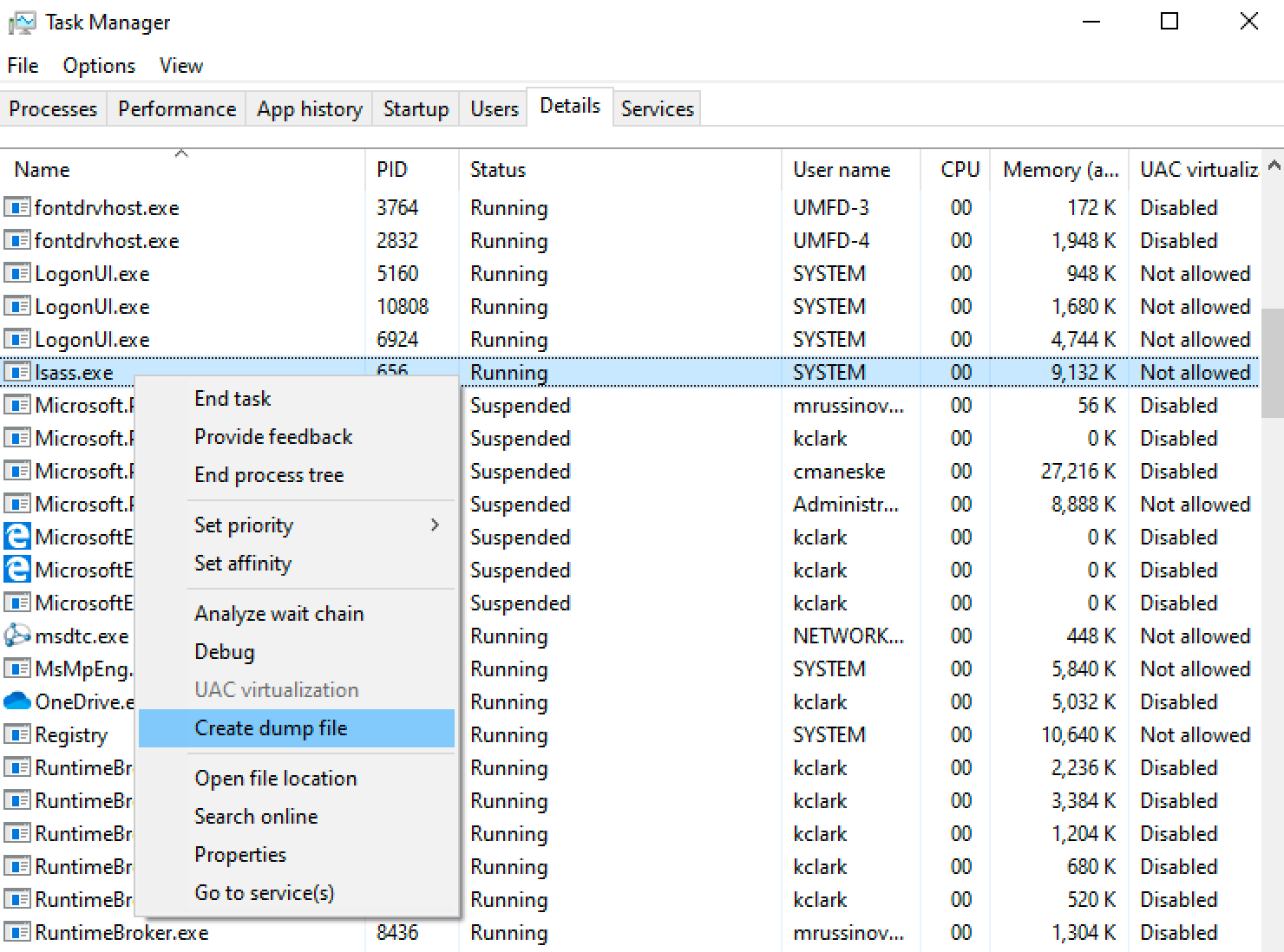 Looking at the Lsass process details in Task Manager