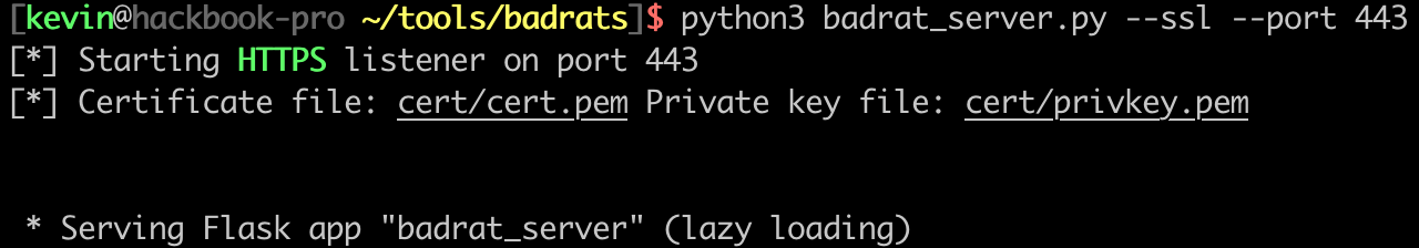 Setting up Badrats to use HTTPS and to listen on port 443
