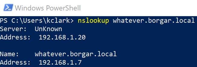 Querying DNS for `whatever.borgar.local` on a different host