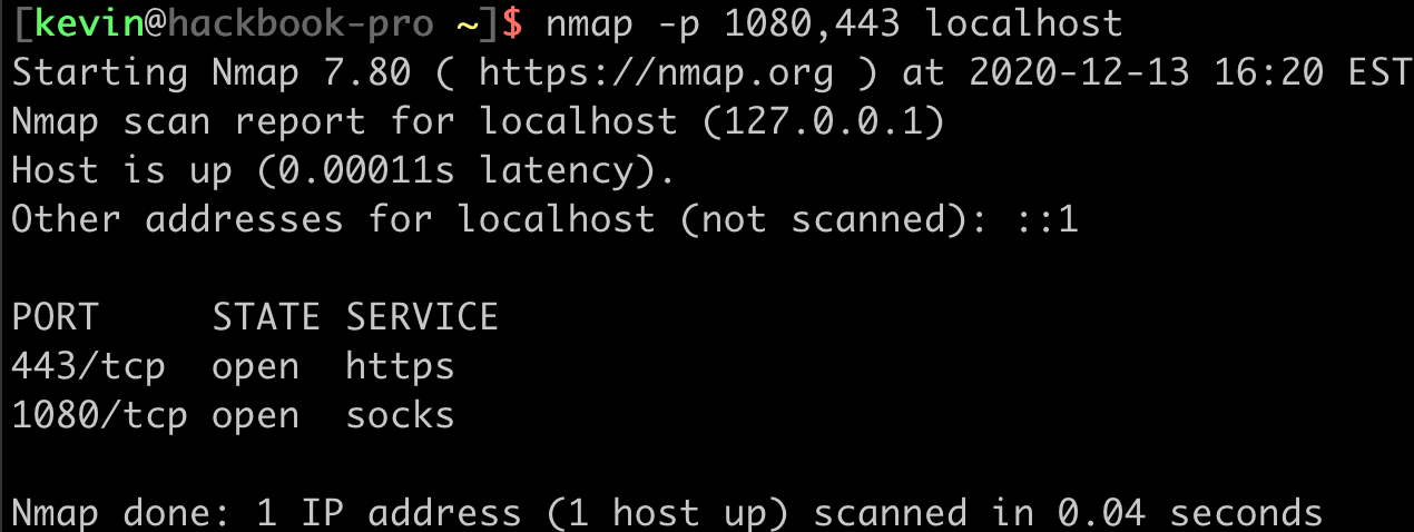 Using nmap to verify both the handler port and the proxy port are listening for connections